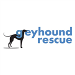 Image of Greyhound Rescue Inc Greyhound Rescue Inc